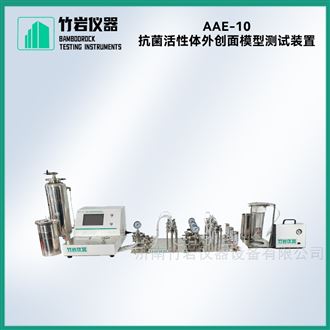 抗菌活性体外创面模型测试装置